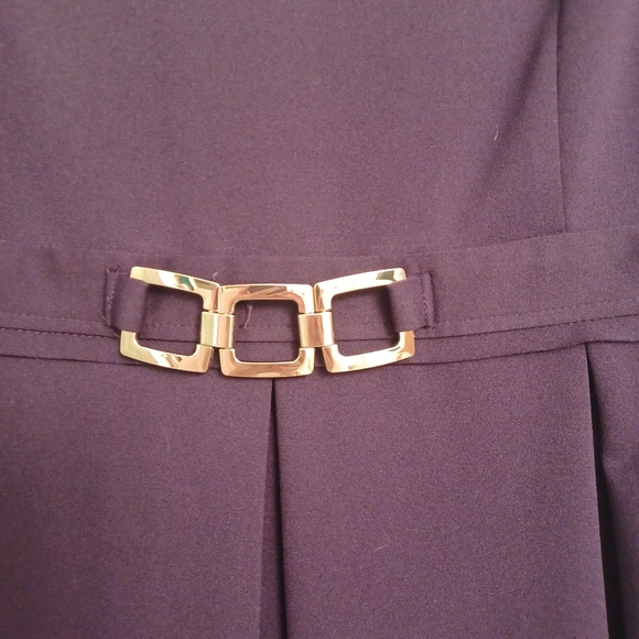 BLACK LABEL by EVAN- PICONE Plum Purple Classic Sleeveless Dress Size 16 - Picture 7 of 13